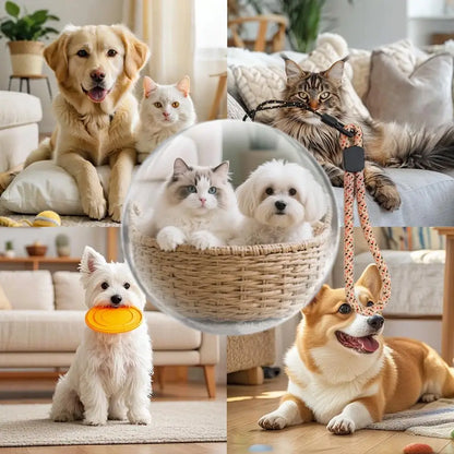 CrystalView 3D – Memory Video Sphere